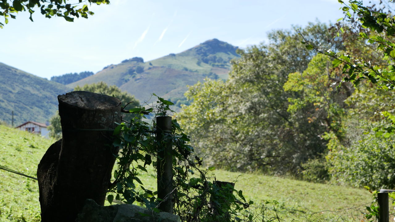 INDO IMMO promoteur constructeur logements neufs sur la côte basque